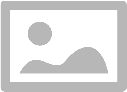 Best Friends Furever BFF Puppy